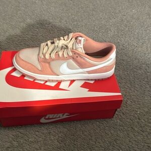 Men’s brand new Nike dunks never worn